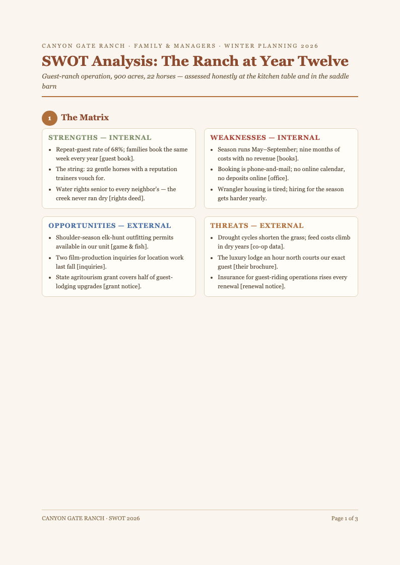 Earth tone natural swot analysis